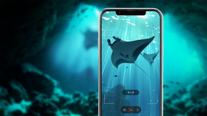 「ワンダリアアプリ」イメージ