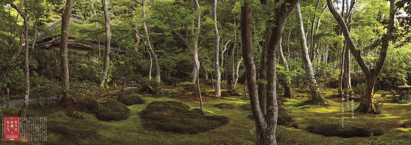 Ｂ０&times;２ポスター＜苔と新緑編＞（イメージ）