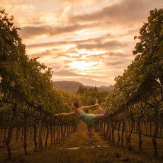 通は知っている！　こだわりの八ヶ岳シャルドネを堪能する「シャルドネステイ」｜TRAVEL