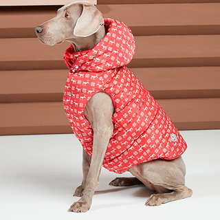 犬たちのプレミアムダウン。「モンクレール ポルド ドッグ クチュール