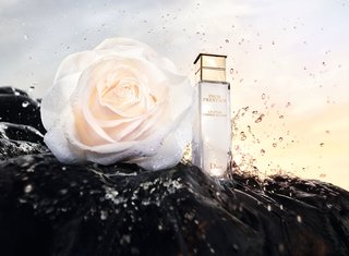 【新品】Dior プレステージ化粧水・乳液 プレステージ マイクロ ローション ド ローズ / ディオール(化粧水