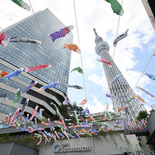 スカイツリー様 あちらに見えるのはスカイツリーで〜す