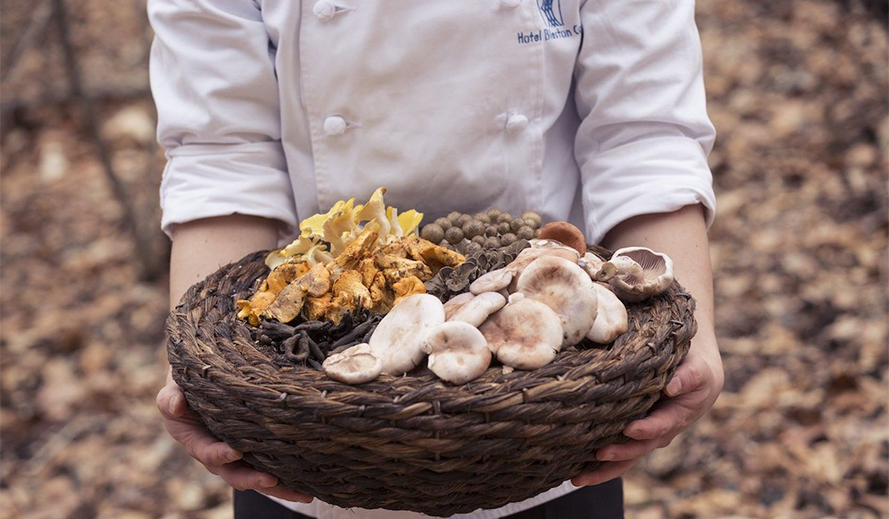 French Cuisine Featuring Wild Mushrooms and Foie Gras | Karuizawa Hotel Bleston Court