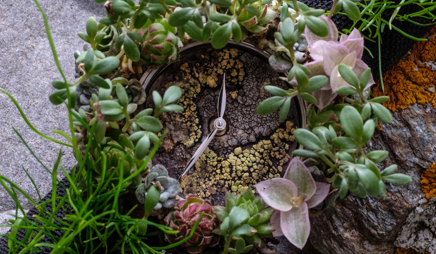 H. Moser & Cie. Unveils Concept Models Advocating for a Sustainable Society and Environmental Conservation