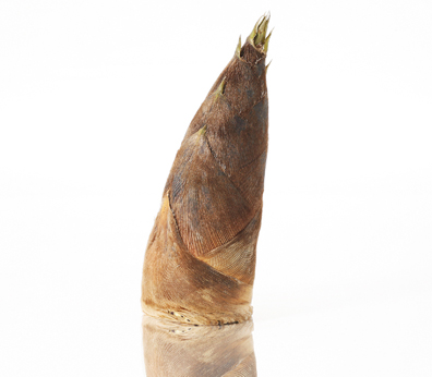 Part 11: Tales of the Table - The Bamboo Shoot