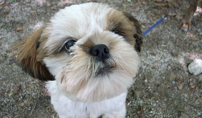 Utterly charming!