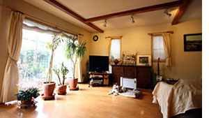 A Glimpse into Eco-House Wisdom for Tokyo Living