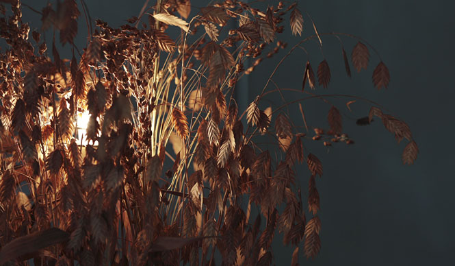 Part 40: Stories About "Living" – Autumn Lighting