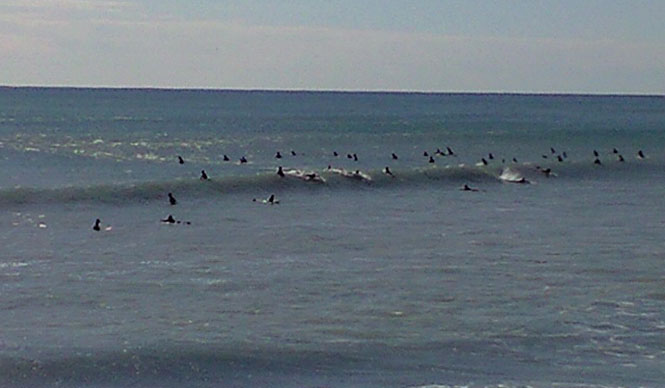 Part 6: This Time, About Surfing and Yoga