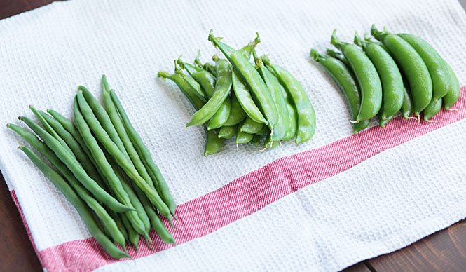 第50回　「食」にまつわる話＿春の豆編（前編）