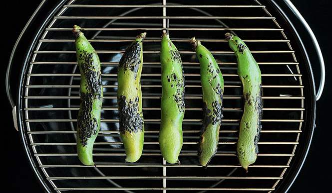 Maki Yoshida, Part 51: Tales of Food - Spring Beans (Part 2)