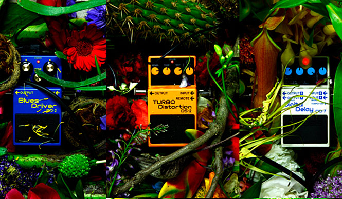 Makoto Azuma Exhibition "Distortion × Flowers" Opens