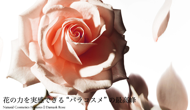 Feature: The Latest Natural Cosmetics Catalog