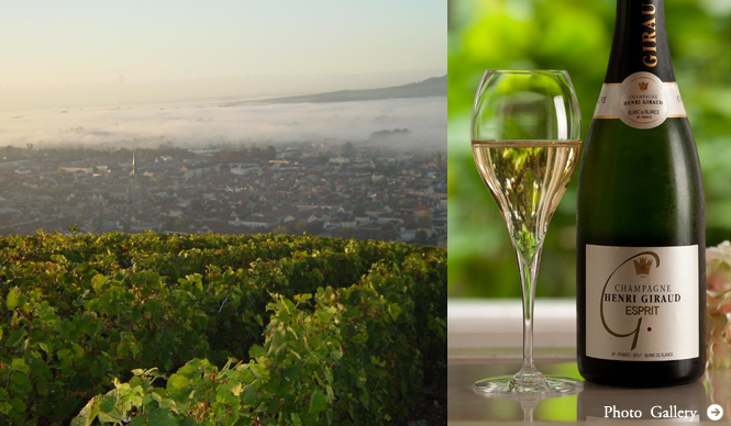 HENRI GIRAUD: What is the Appeal of the Elusive Champagne, Henri Giraud?