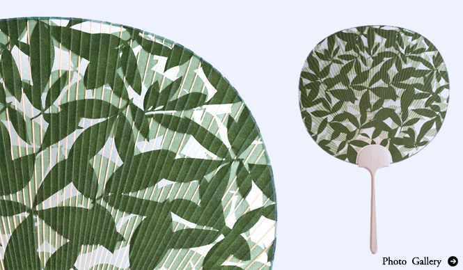Sfera | Summer Uchiwa Fans as Gifts