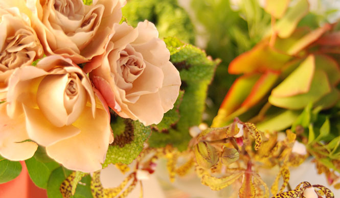 Series: Masami Wake | Bathing Flowers: “Flowers are also bathing”