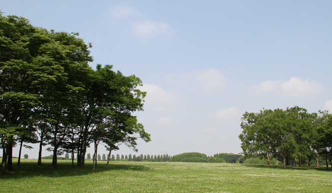 Toshio Matsuura | Let's Enjoy the Beautiful Season When Your Body Feels Light
