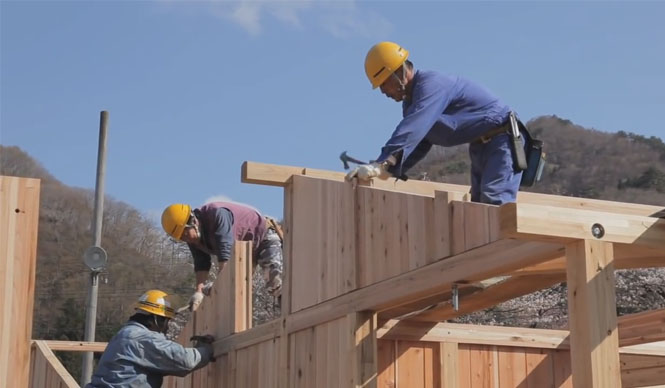 more trees | Launches Disaster Relief Project "LIFE311"