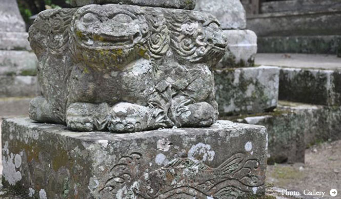 連載・塚田有一│みどりの触知学 第14回 旧暦の七夕をはさんで、九州を旅した