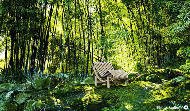 Cassina ixc.｜芸術的才能が開花した「シャルロット・ペリアン」新作展示
