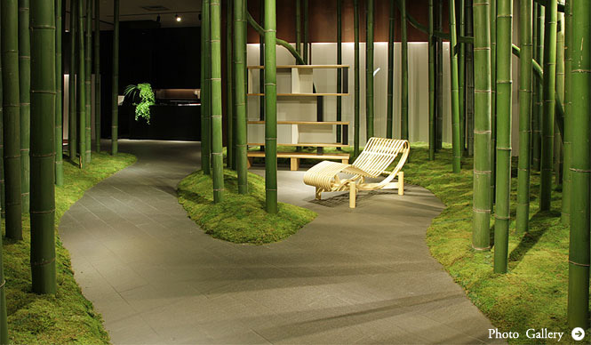 Cassina ixc.｜「シャルロット・ペリアン」の美しく斬新な世界
