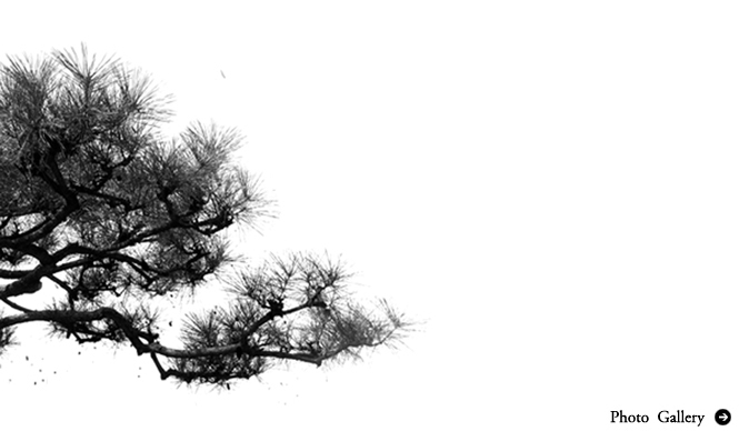 Shun Kawakami presents a solo exhibition at hotel anteroom Kyoto.