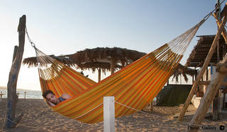 Groove　ハンモック　ラスタカラー　新品 楽天市場】ハンモックチェア ハバナ(室内) 1人用キングサイズ