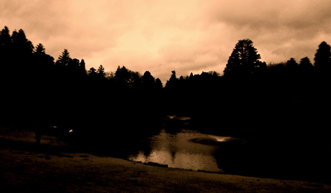 Diary-T 226 - A Sunday of resolve, I believe.