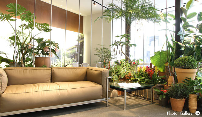 Cassina ixc. | Presents "URBAN JUNGLE," a New Exhibition for 2012