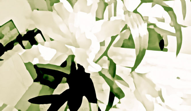 Diary-T 263 Lily: The Flower of Revolution