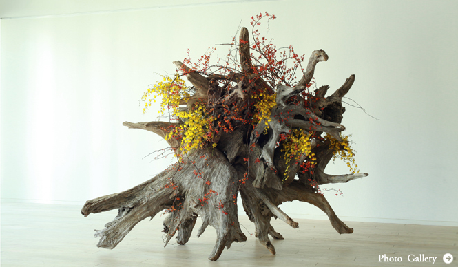 ART｜注目の若手華道家ユニット、プランティカ初の大型個展『plantica_Nomadic』