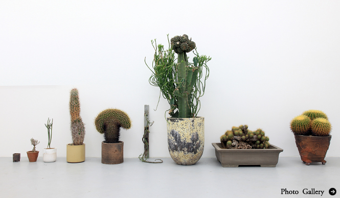 ART｜“いい顔してる”植物たち250点を一堂に展示『植物も個性の時代』