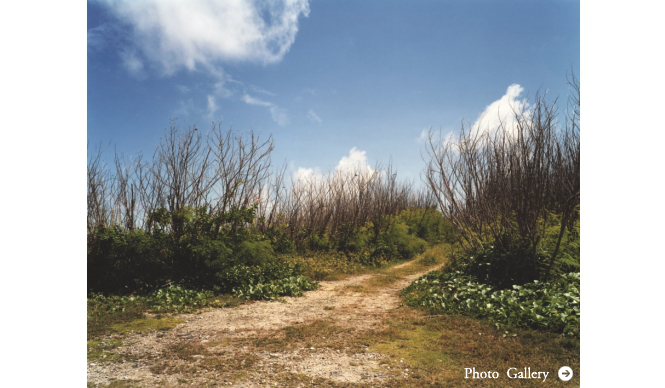 ART | 'If You Can See It, It's Not There' Exhibition by Tomoko Yoneda at the Tokyo Photographic Art Museum