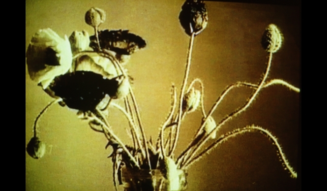 ART｜金沢21世紀美術館で映像作家フィオナ・タンの作品を展示