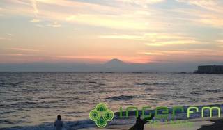 松浦俊夫｜夏は来年もまたやってくる。でも今年の夏はもう戻らない