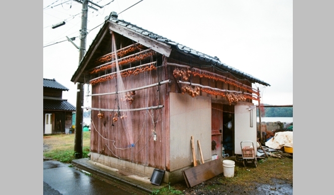 ART | 21st Century Museum of Contemporary Art, Kanazawa "Michihiro Shimabuku: Noto"