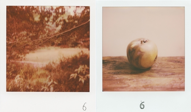 ART | The Photo Exhibition 'solo six' Featuring Six Photographers