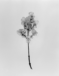 ART｜細倉真弓『Transparency is the new mystery』展をPOSTで開催