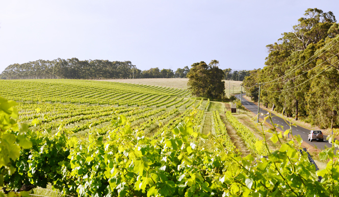 Australia: A Culinary Continent. A Journey Through Food and Wine | Western Australia: Margaret River | Feature