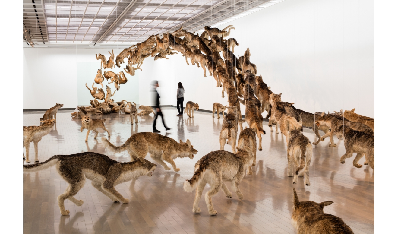 中国出身の現代アーティスト 蔡國強による『帰去来』展｜YOKOHAMA MUSEUM OF ART