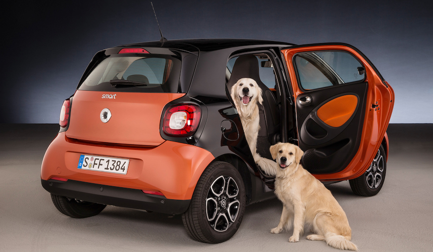 犬との旅行に便利な新型スマート フォーフォー｜smart