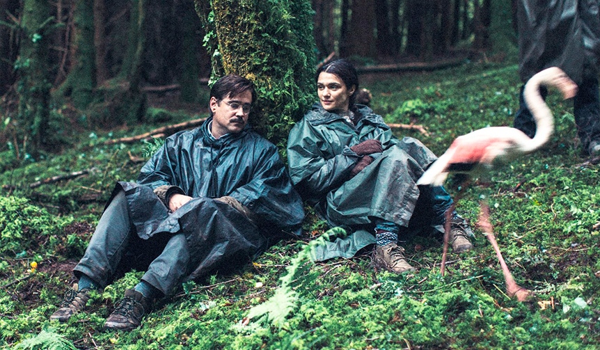 Single People Are Detained and Turned into Animals. "The Lobster" is Released | MOVIE
