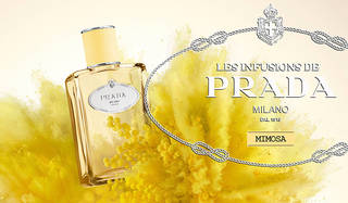 インフュージョン ドゥ プラダ」コレクションに「ミモザ」の香りが登場