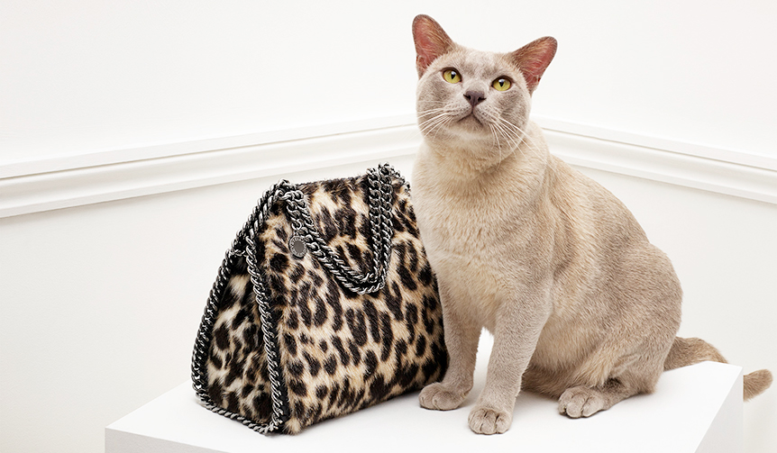Stella McCartney Opens Pop-Up Store at Hankyu Umeda Main Store | STELLA McCARTNEY