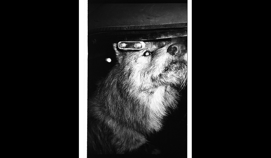 The Photobook "90 Nights" Captures the Club Scene of the 1990s | LOUNGE