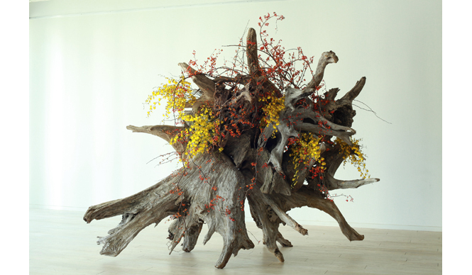 ART | Acclaimed Young Ikebana Unit Plantica Holds First Major Exhibition, "plantica_Nomadic" Gallery