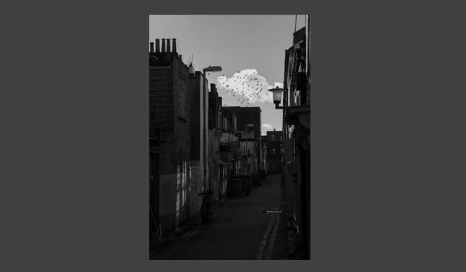 ART│セイケトミオ写真展『Light in Monochrome』をライカ銀座店サロンで開催 ギャラリー