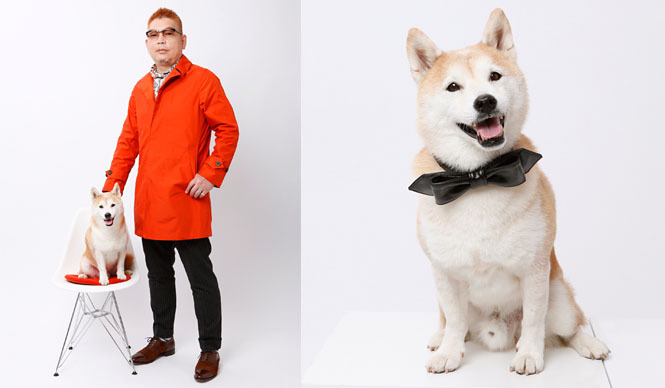 NEWS｜愛犬と記念撮影できる「With Dog フォトプラン」 ギャラリー
