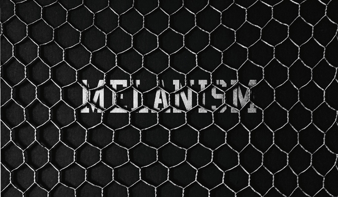 黒色に染まる「MELANISM」開催｜the POOL aoyama ギャラリー