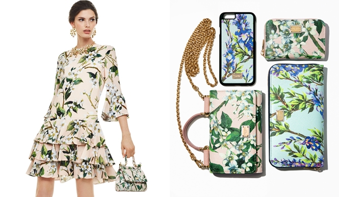 Dolce & Gabbana Unveils First Japan-Exclusive Series | DOLCE&GABBANA Gallery